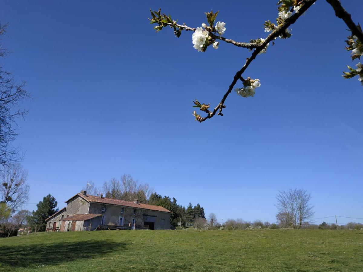 Maison Au Calme Avec Vue Etang Clesse  ภายนอก รูปภาพ