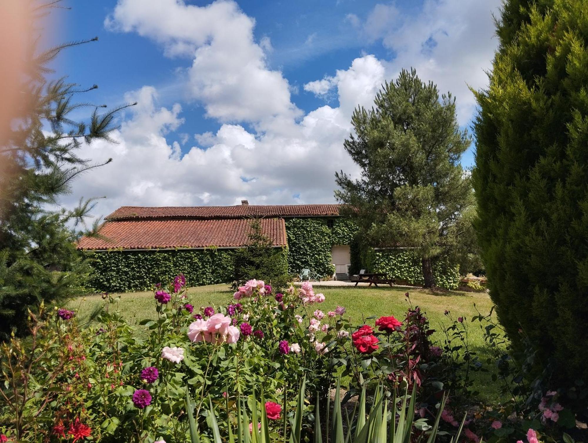 Maison Au Calme Avec Vue Etang Clesse  ภายนอก รูปภาพ