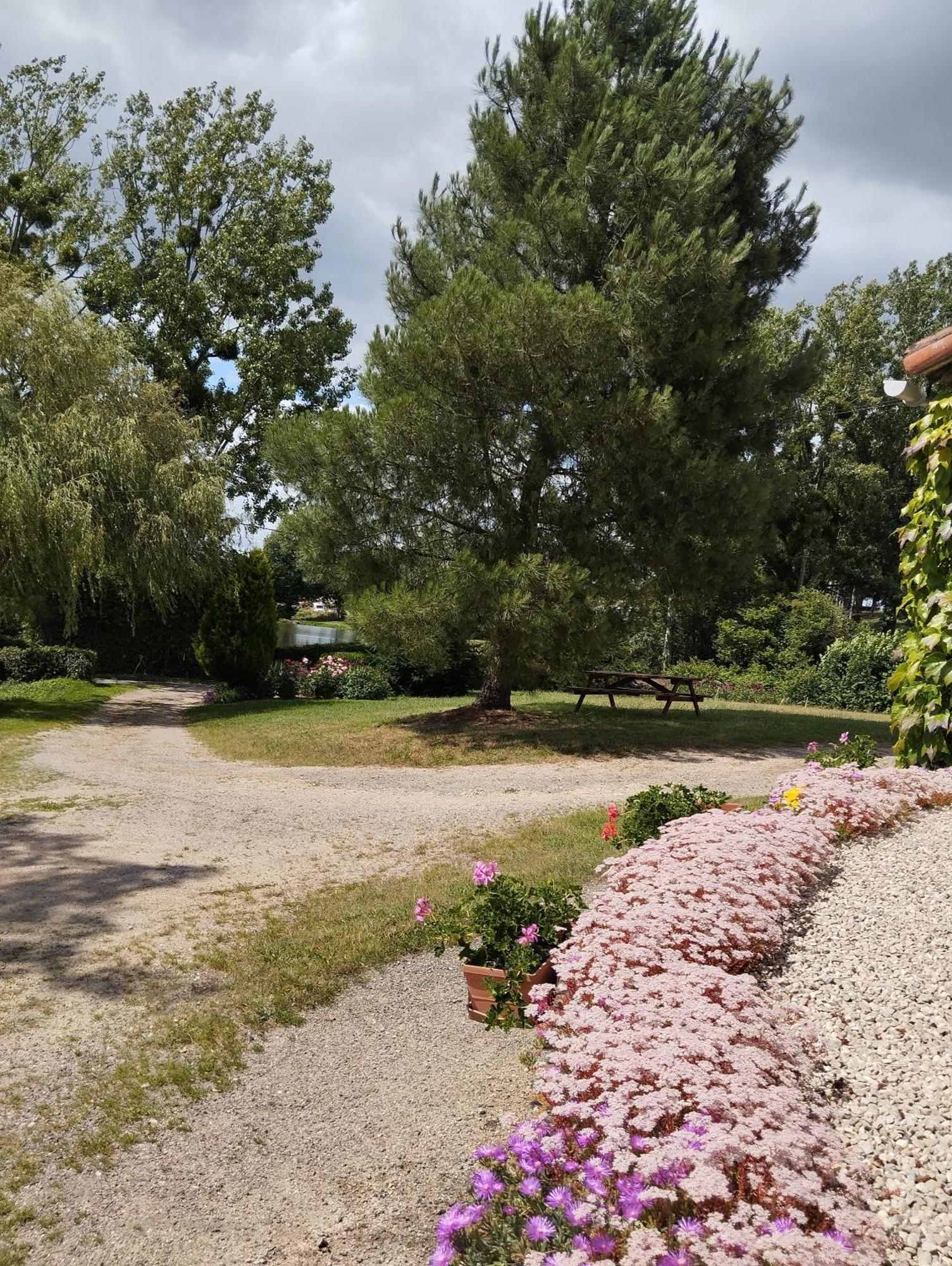 Maison Au Calme Avec Vue Etang Clesse  ภายนอก รูปภาพ